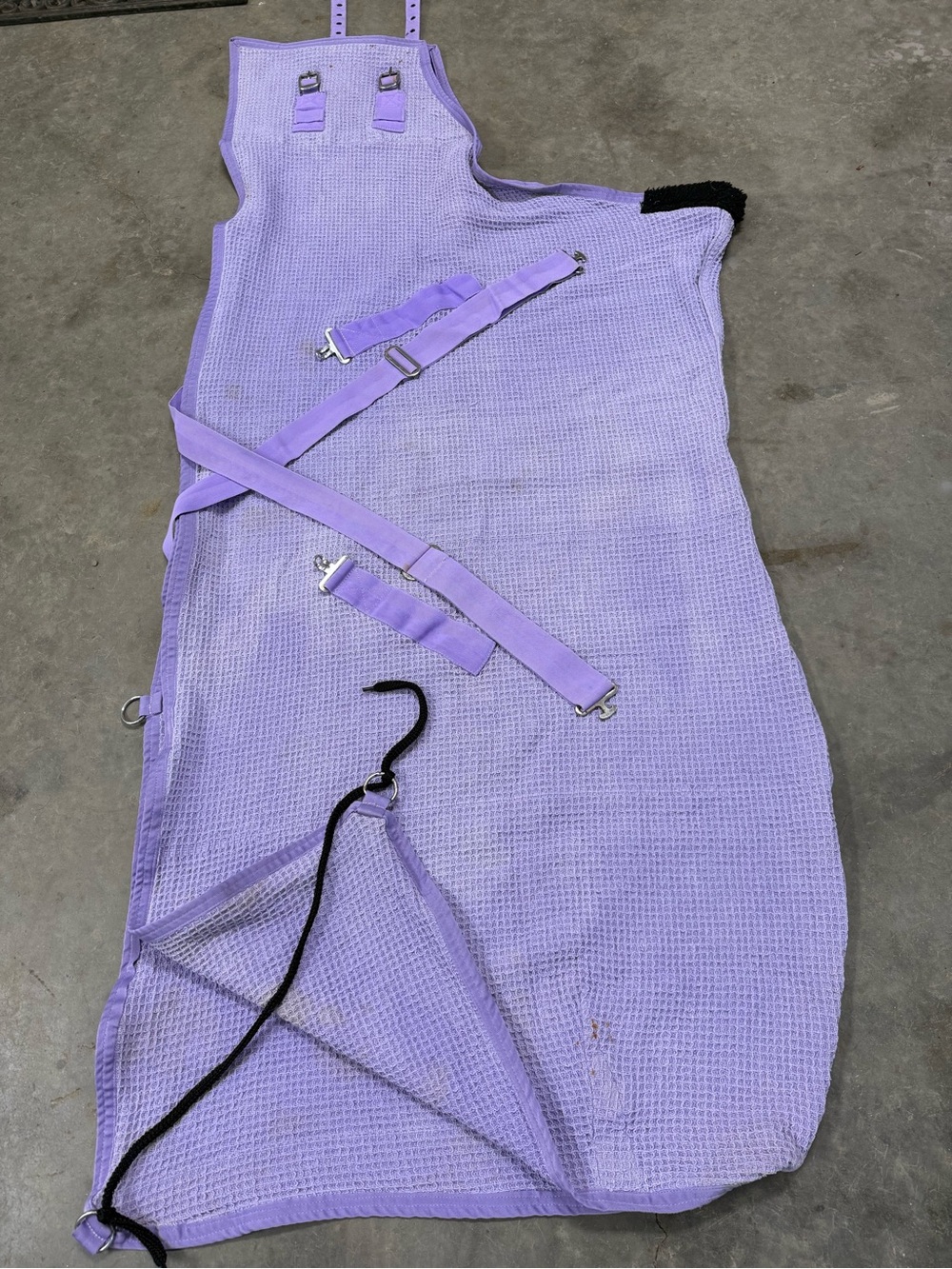 Lavender Waffle Knit Horse cooler size 70 Straps buckles good